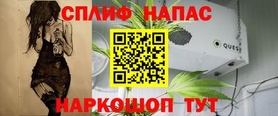 ешки Будённовск