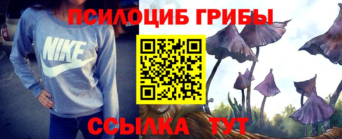 Норильск  Псилоцибиновые грибы GOLDEN TEACHER  Вход с VPN 