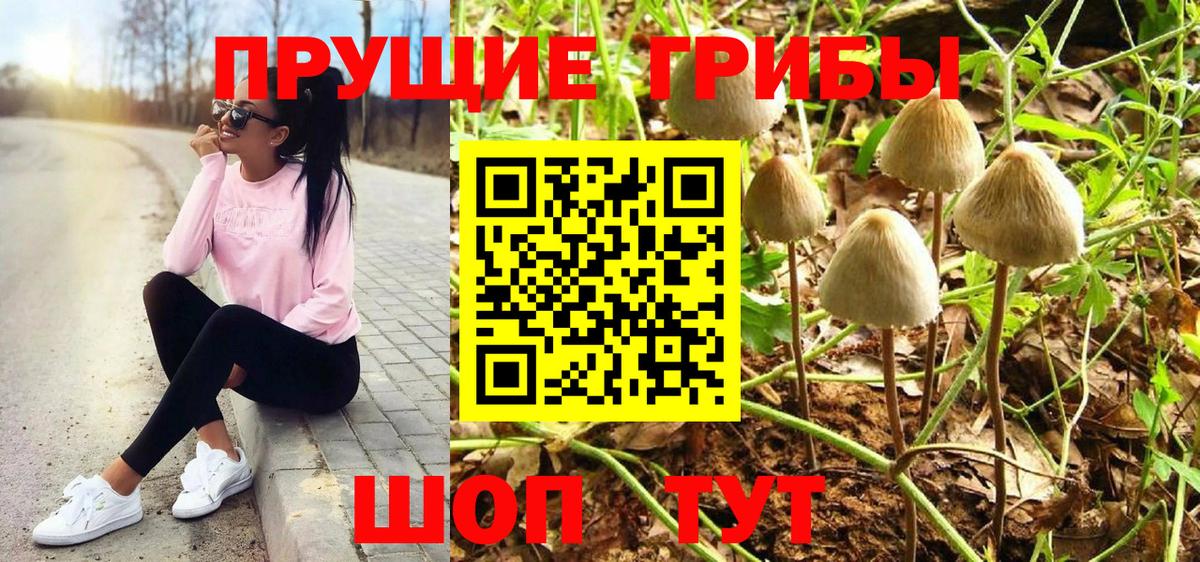 Псилоцибиновые грибы MAGIC MUSHROOMS Норильск